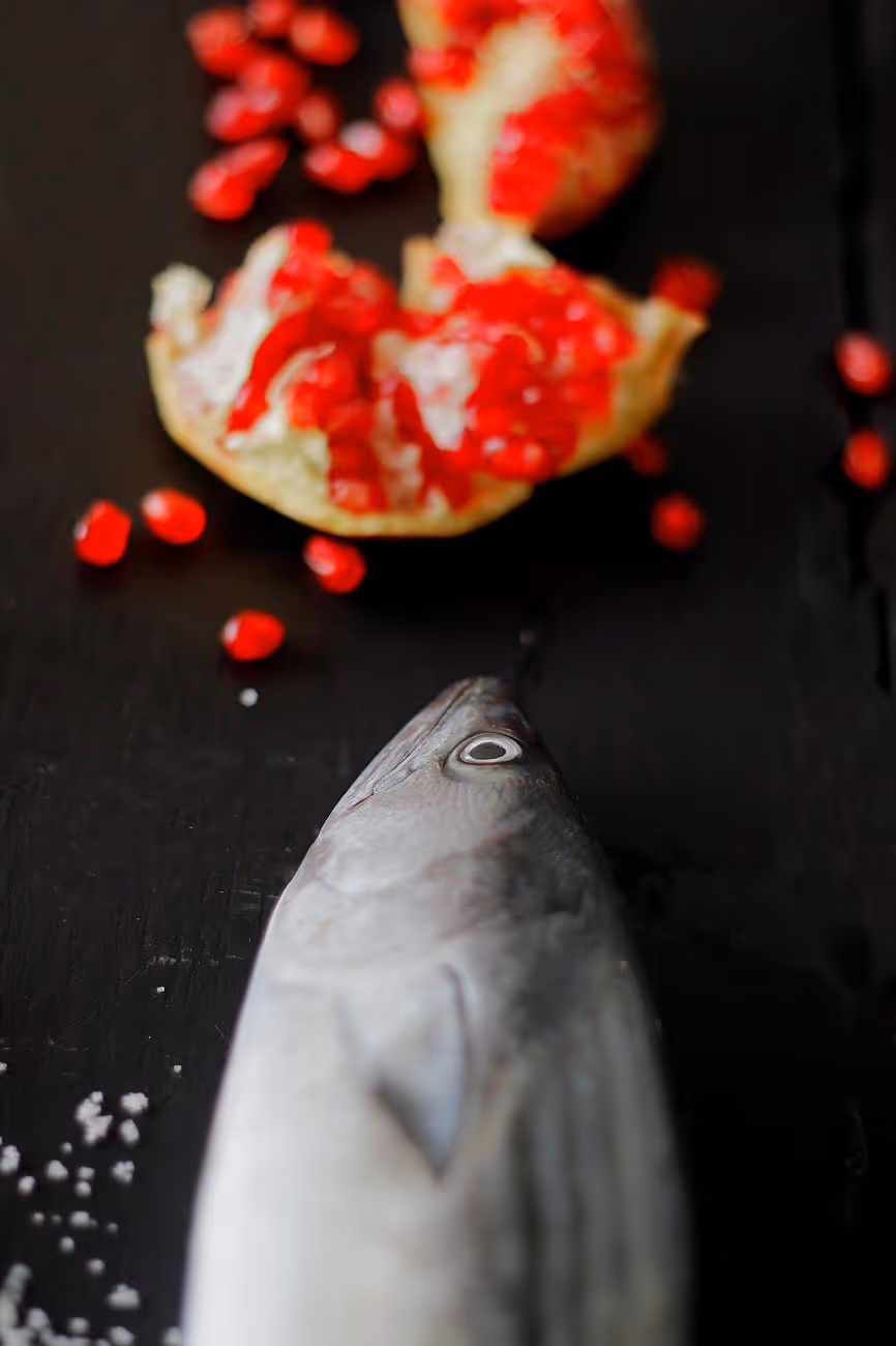 Fish 